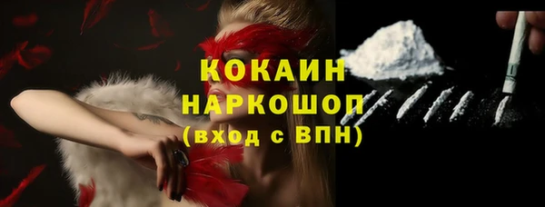 МДПВ Няндома