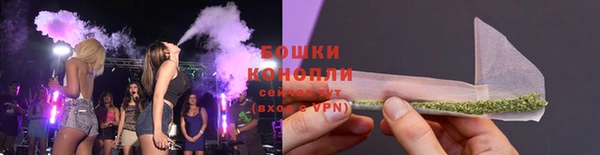 гидропоника Нязепетровск