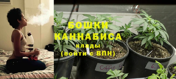 гидропоника Нязепетровск