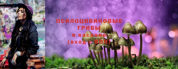 МДПВ Няндома