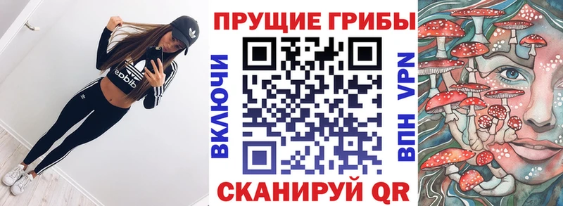 Псилоцибиновые грибы MAGIC MUSHROOMS  дарк нет наркотические препараты  Кисловодск  как найти закладки 