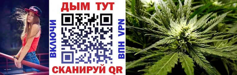 Каннабис семена  закладки  Кисловодск 